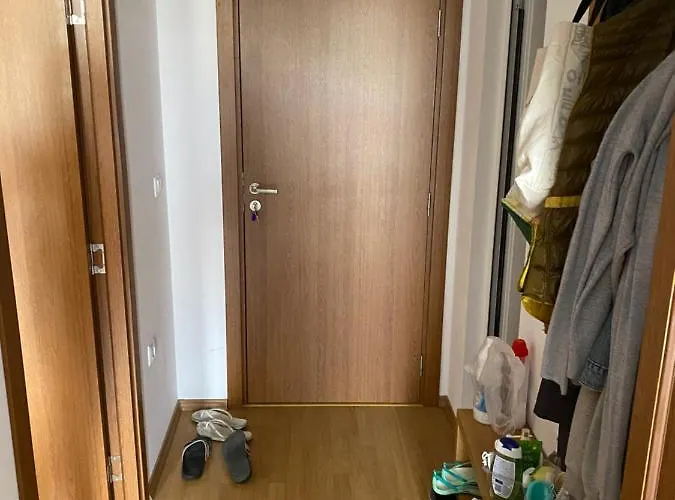 на солнечном берегу Sunny Beach